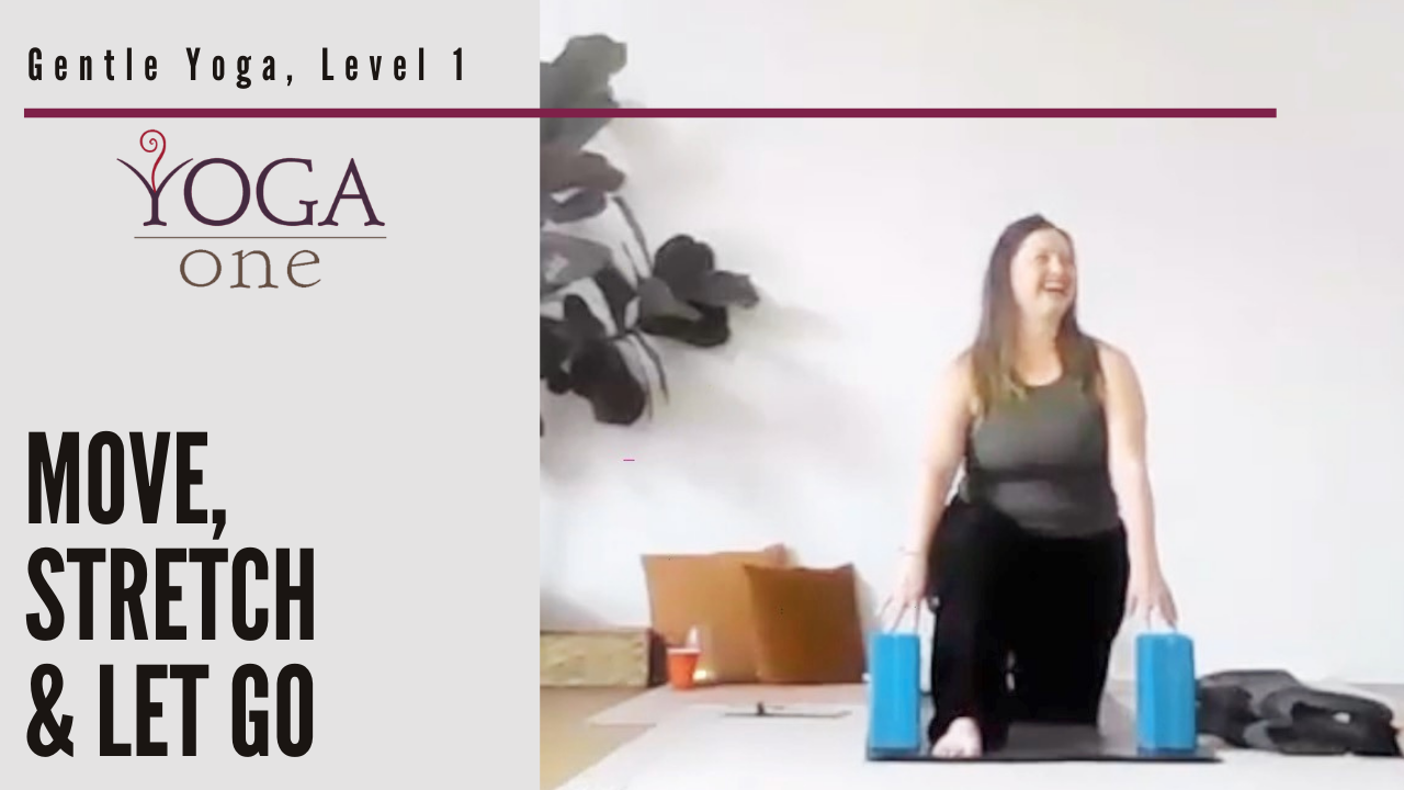 Move, Stretch, & Let Go with Missy DiDonato, Gentle Yoga Level 1